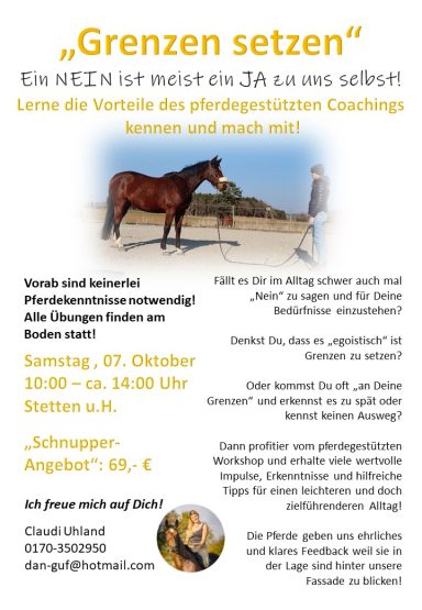 Schnupperworkshop Pferdegestütztes Coaching